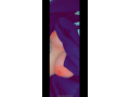 marina-small-1